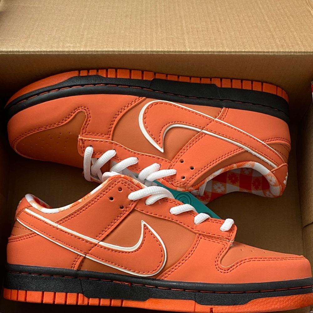 Nike Men's Orange Lobster Dunks